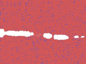 Crack-growth-Al-Mg-alloys_SinghCV