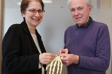 Professors Rita Kandel and Robert Pilliar (IBBME), at right, are working on a promising new treatment that could see diseased joints replaced with new tissue-engineered joints developed at U of T Engineering. (Credit: Jennifer Robinson)